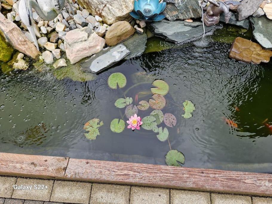 Ferienwohnung In Feldkirchen Dagmar Und Christian! 菲尔德茵卡特 外观 照片